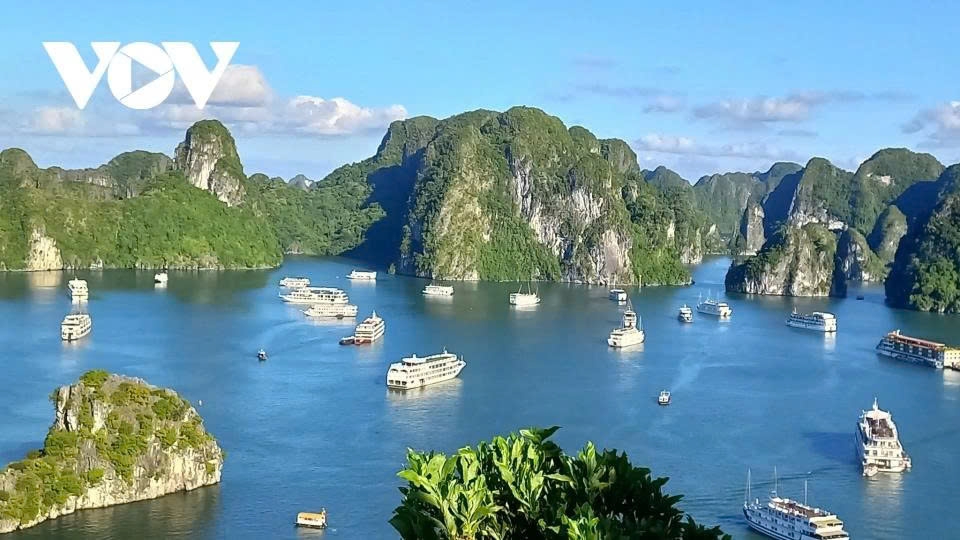 World billionaire to visit Quang Ninh by helicopter
